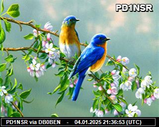 PD1NSR: 2025010421 de PI1DFT
