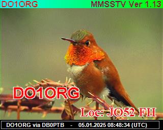 DO1ORG: 2025010508 de PI1DFT