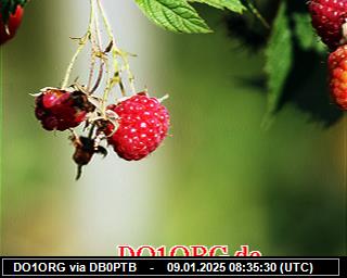 DO1ORG: 2025010908 de PI1DFT