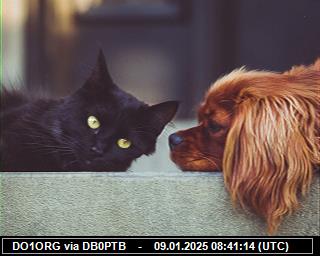 DO1ORG: 2025010908 de PI1DFT