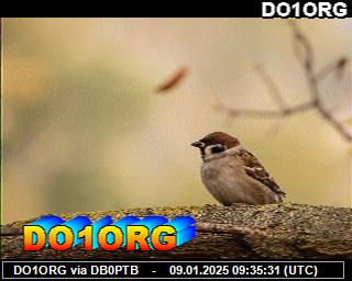 DO1ORG: 2025010909 de PI1DFT