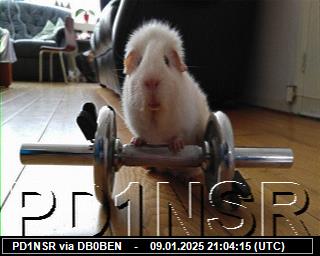 PD1NSR: 2025010921 de PI1DFT