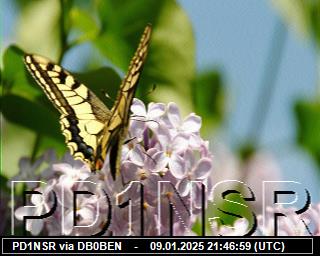 PD1NSR: 2025010921 de PI1DFT