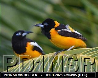 PD1NSR: 2025010922 de PI1DFT