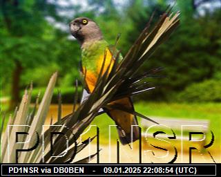 PD1NSR: 2025010922 de PI1DFT