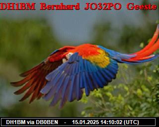 DH1BM: 2025011514 de PI1DFT