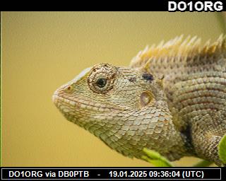 DO1ORG: 2025011909 de PI1DFT