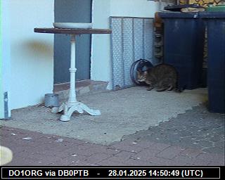 DO1ORG: 2025012814 de PI1DFT