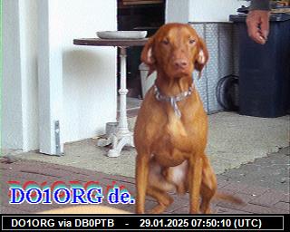 DO1ORG: 2025012907 de PI1DFT