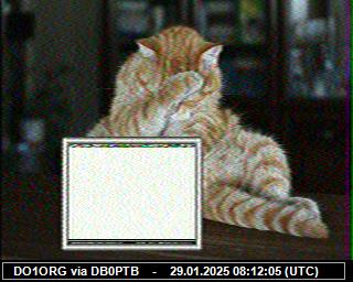 DO1ORG: 2025012908 de PI1DFT