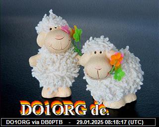 DO1ORG: 2025012908 de PI1DFT