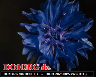 DO1ORG: 2025013008 de PI1DFT