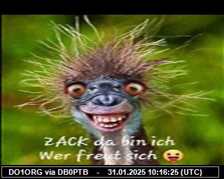 DO1ORG: 2025013110 de PI1DFT