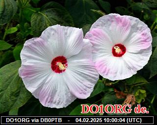 DO1ORG: 2025020410 de PI1DFT