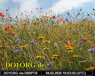 DO1ORG: 2025020410 de PI1DFT