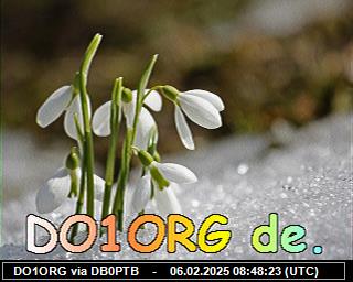 DO1ORG: 2025020608 de PI1DFT