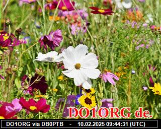 DO1ORG: 2025021009 de PI1DFT