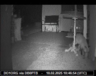 DO1ORG: 2025021010 de PI1DFT