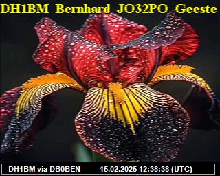 DH1BM: 2025021512 de PI1DFT
