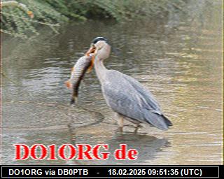 DO1ORG: 2025021809 de PI1DFT