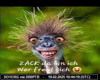 DO1ORG: 2025021810 de PI1DFT