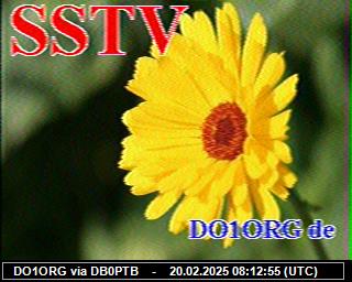 DO1ORG: 2025022008 de PI1DFT