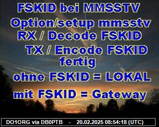 DO1ORG: 2025022008 de PI1DFT