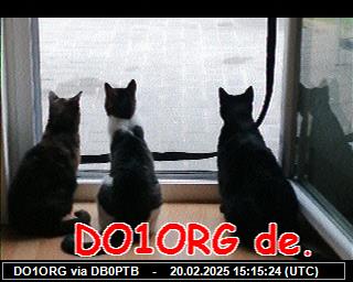 DO1ORG: 2025022015 de PI1DFT