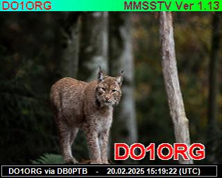 DO1ORG: 2025022015 de PI1DFT