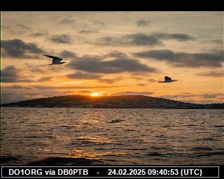 DO1ORG: 2025022409 de PI1DFT