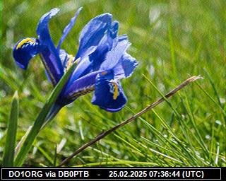 DO1ORG: 2025022507 de PI1DFT