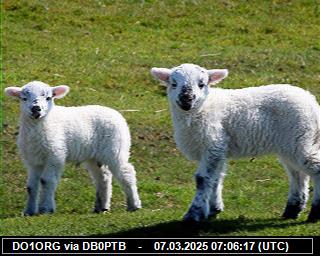 DO1ORG: 2025030707 de PI1DFT