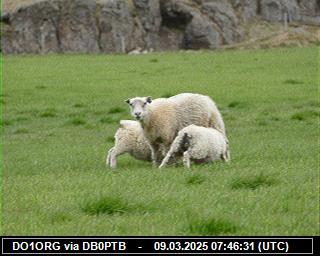 DO1ORG: 2025030908 de PI1DFT