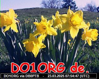 DO1ORG: 2025032308 de PI1DFT