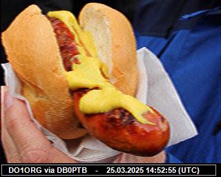 DO1ORG: 2025032515 de PI1DFT