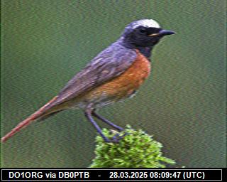 DO1ORG: 2025032809 de PI1DFT