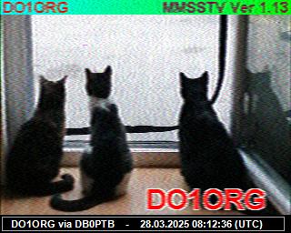 DO1ORG: 2025032809 de PI1DFT