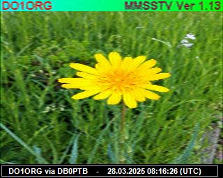 DO1ORG: 2025032809 de PI1DFT