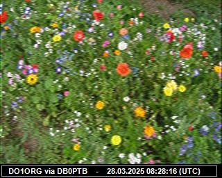 DO1ORG: 2025032809 de PI1DFT