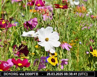 DO1ORG: 2025032809 de PI1DFT