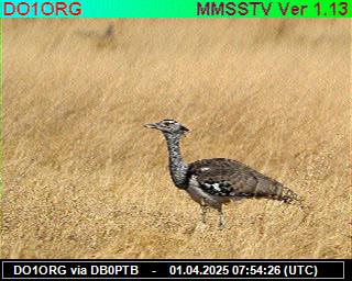 DO1ORG: 2025040109 de PI1DFT