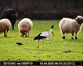 DO1ORG: 2025040110 de PI1DFT