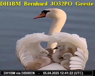 DH1BM: 2025040514 de PI1DFT