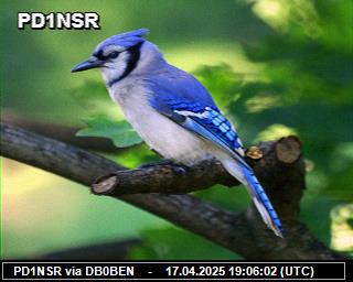 PD1NSR: 2025041721 de PI1DFT