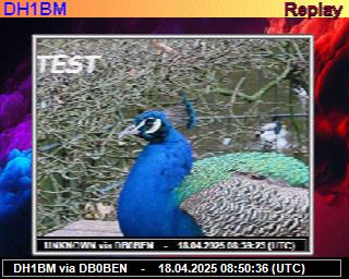 DH1BM: 2025041810 de PI1DFT