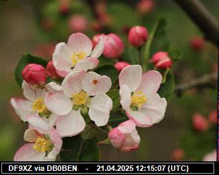 DF9XZ: 2025042114 de PI1DFT