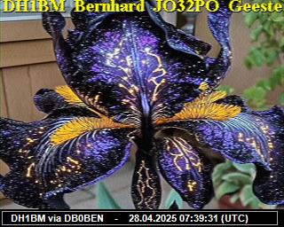 DH1BM: 2025042809 de PI1DFT