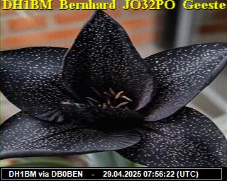 DH1BM: 2025042909 de PI1DFT