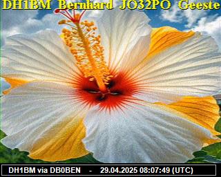 DH1BM: 2025042910 de PI1DFT