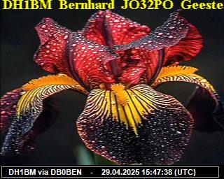 DH1BM: 2025042917 de PI1DFT